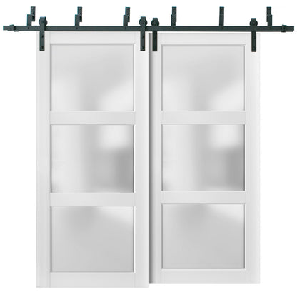 Lucia 2552 Matte White Double Barn Door with Frosted Glass | Black Bypass Rails