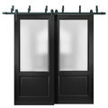 Lucia 22 Matte Black Double Barn Door with Frosted Glass | Black Bypass Rail