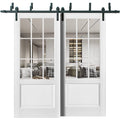 Felicia 3599 Matte White Double Barn Door with 9 Lites Clear Glass | Black Bypass Rails