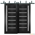 Quadro 4088 Matte Black Double Barn Door with Frosted Glass | Black Bypass Rails