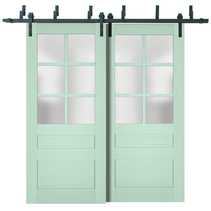 Veregio 7339 Oliva Double Barn Door with Frosted Glass and Black Bypass Rail