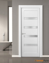 Load image into Gallery viewer, Quadro 4113 White Silk Barn Door Slab with Frosted Glass