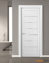 Load image into Gallery viewer, Quadro 4117 White Silk Barn Door Slab with Frosted Glass