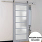 Veregio 7602 Matte Grey Barn Door with Frosted Glass and Silver Finish Rail