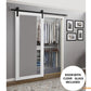 Lucia 2166 White Silk Barn Door with Clear Glass and Black Rail