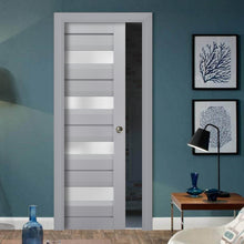 Load image into Gallery viewer, Veregio 7455 Matte Grey Barn Door Slab with Frosted Glass