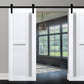 Veregio 7288 Matte White Double Barn Door with Frosted Glass and Black Rail