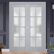 Load image into Gallery viewer, Veregio 7412 Matte Grey Barn Door Slab with Frosted Glass