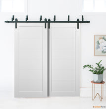 Load image into Gallery viewer, Quadro 4115 White Silk Double Barn Door | Black Bypass Rails