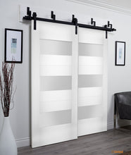 Load image into Gallery viewer, Sete 6003 White Silk Barn Doors with Frosted Glass | Black Bypass Rails