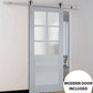 Veregio 7339 Matte Grey Barn Door with Frosted Glass and Silver Finish Rail