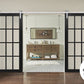 Felicia 3355 Matte Black Double Barn Door with 12 Lites Clear Glass | Silver Finish Rail